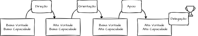 Níveis de Maturidade